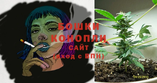 спайс Касимов