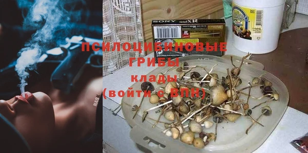 спайс Касимов