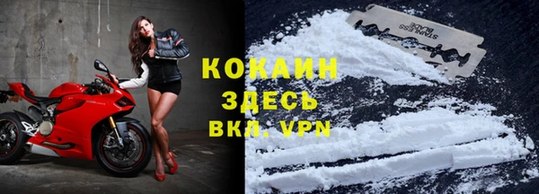 спайс Касимов